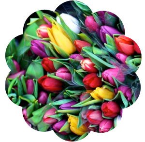 Send de rigtige blomster